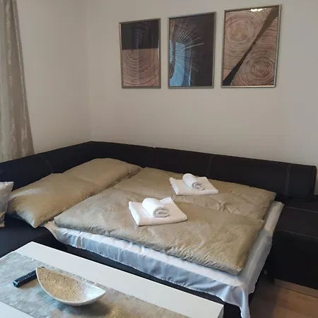 公寓 Karina Apartman *